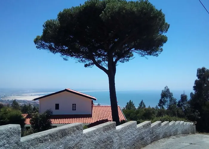 Logra-Sol